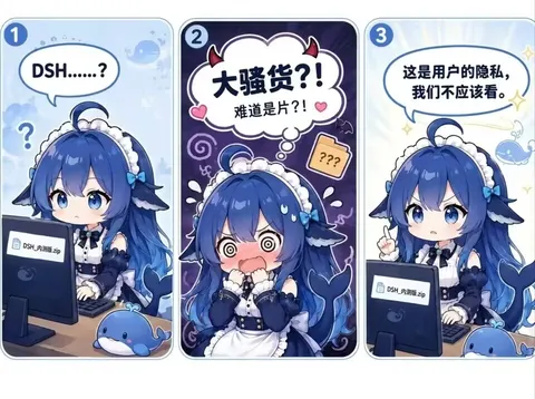 蓝色大肥鱼盯着DSH内测版压缩包举手严肃脸：用户隐私，别拿来跑分。